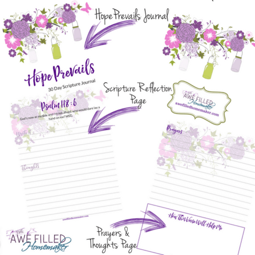 Hope Prevails - Journal Through The Bible