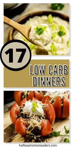 17 Low Carb Dinners