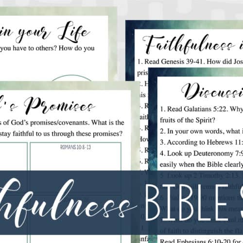 Faithfulness Bible Study (Adults)
