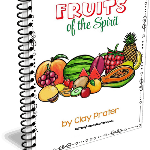 Fruits of the Spirit Study