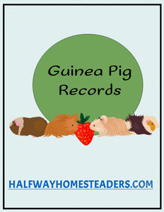 Guinea Pig Records