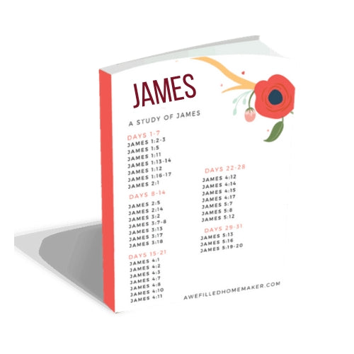Study of James, Journal Through The Bible