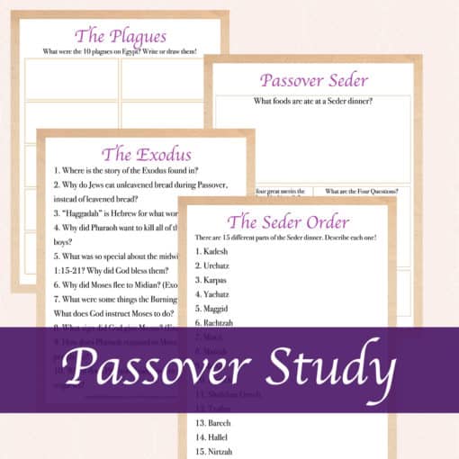 Passover Unit Study