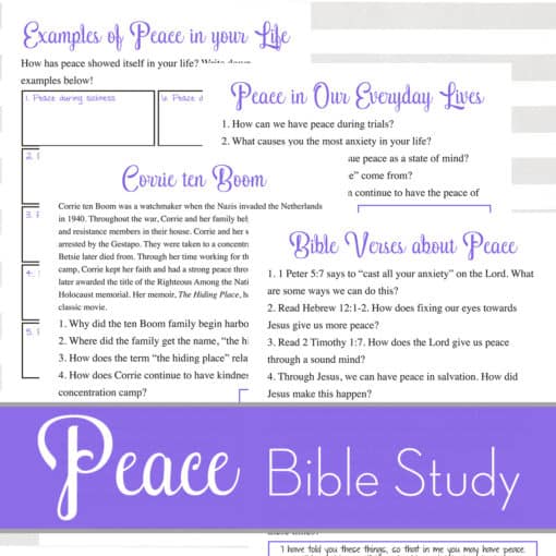 Peace Bible Study