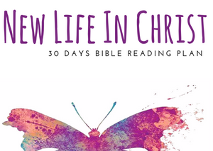 New Life In Christ, Journal Through The Bible