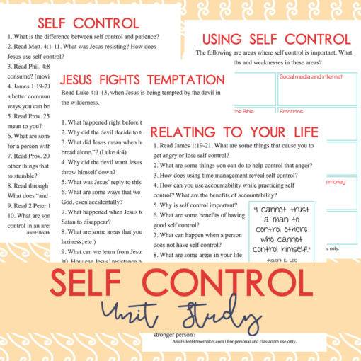 Self Control Study For Adults