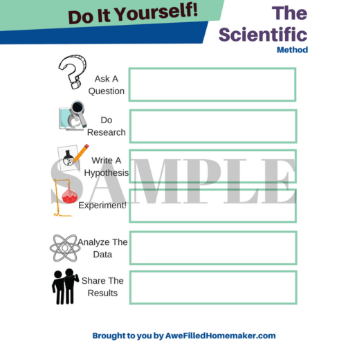 The Scientific Method Worksheet